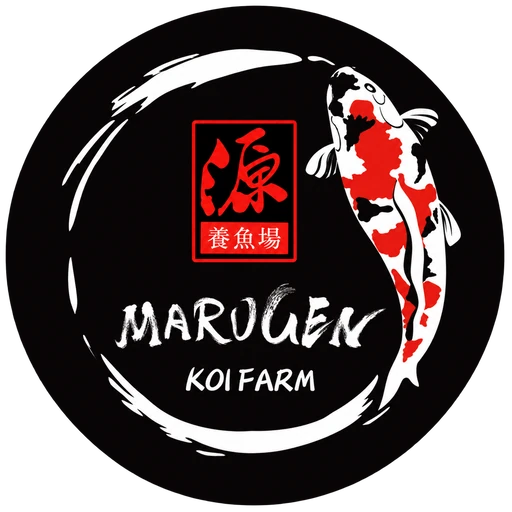 Marugen Koi Farm